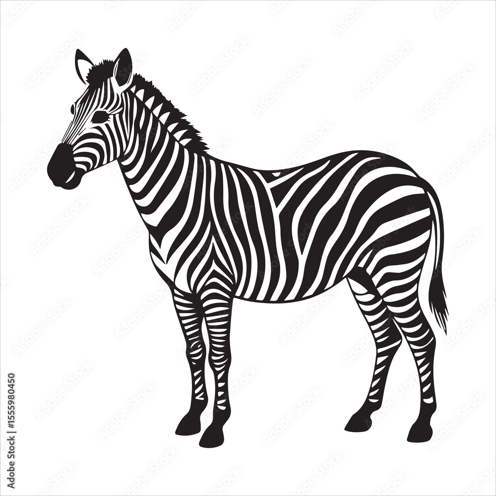 Obraz premium plain zebra vector illustration