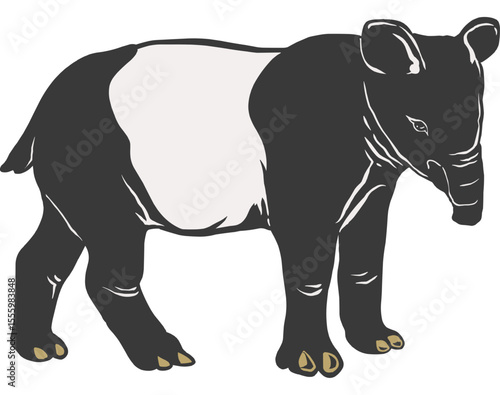 Illustration of an Asian Tapir