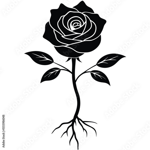Black silhouette of a rose with stem leaves and roots on a white background