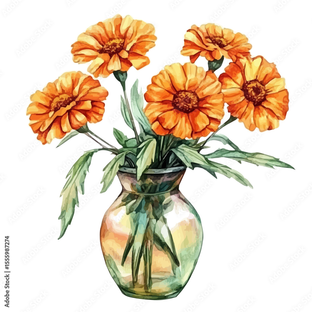 Fototapeta premium A Marigold In A Vase, watercolor painting vector, isolated on a white background.