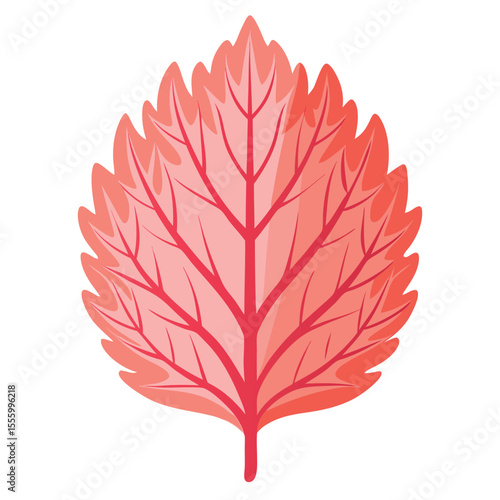 coral-leaf-isolated-realistic-on-white-background