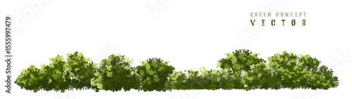  Vector watercolor green  tree or forest side view isolated on white background for landscape and architecture drawing,elements for environment or and garden,Shrub for section
