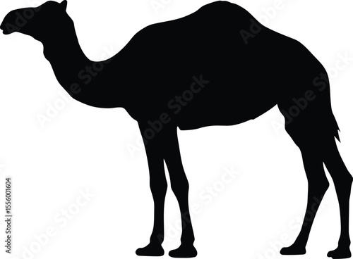 Black Camel Silhouette in Side View

