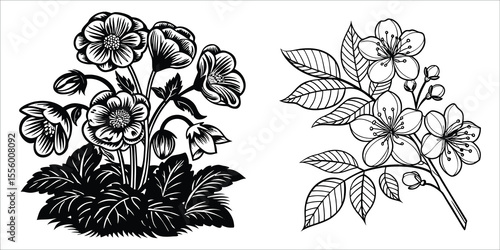 Black and White Floral Designs Two Flower Arrangements Line Art Botanical Illustration
