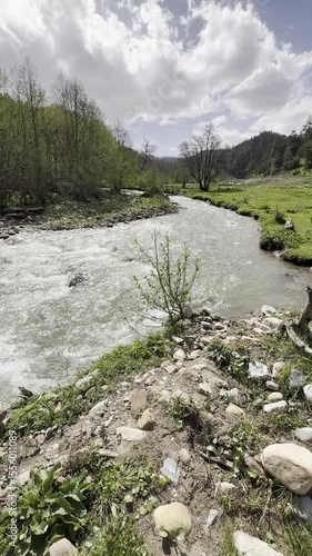 Wild river waterfall in mountain forest