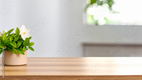 Minimalistic Indoor Plant Decor With White Flowers on Wooden Table
