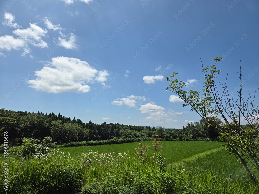 Obraz premium 田園風景の写真