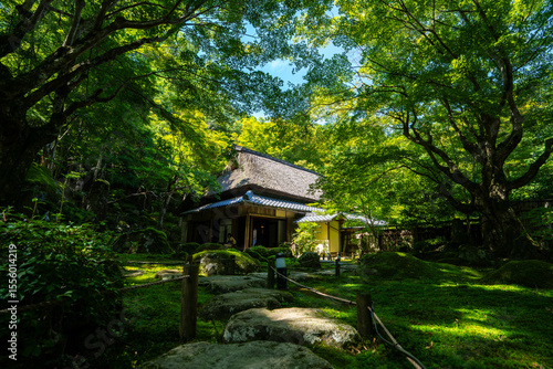 夏の教林坊