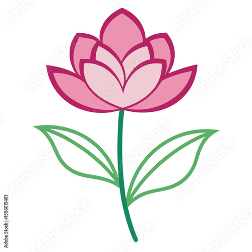 clove pink flower  on white-back-ground.