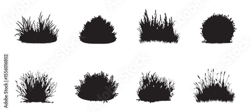 Set of Black silhouette of various bushes and shrubs isolated on white background, graphic illustration. concept of plant, nature, garden landscaping, icon, design element