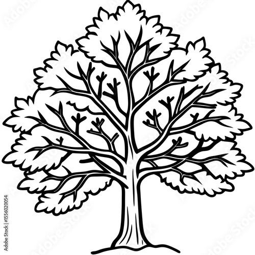 Snow-covered Tree line art vector