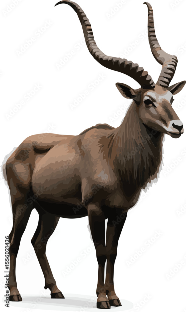 Obraz premium markhor isolated on white