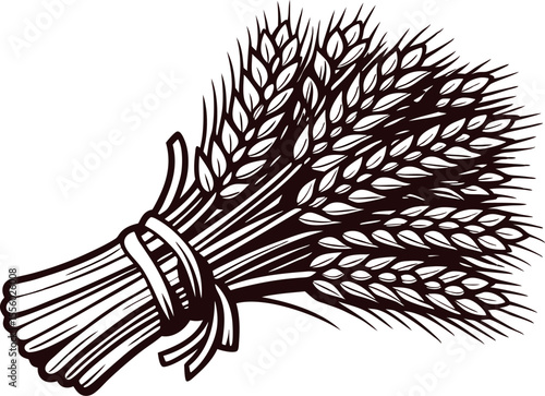 Hand drawn vintage wheat bundle isolated on white background in engraved sketch