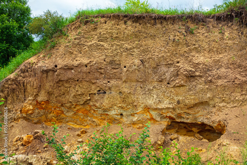 Fotografija A steep section of sandy or clay soil with holes is a bird nest