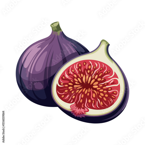 Illustration of Two Fresh Figs One Whole and One Cut in Half Displaying the Juicy Interior Seeds