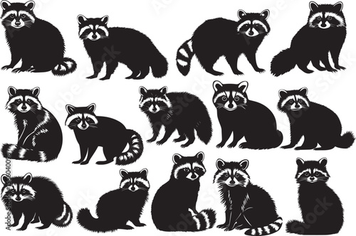 Set of raccoon silhouette isolated on white background.