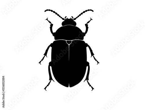 Generate full black vect of Flour beetle insect in silhouette image white background.