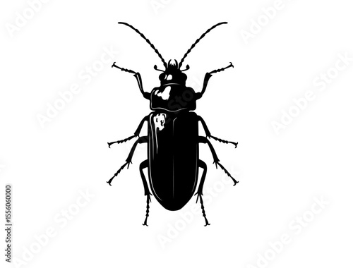  Monkey beetle insect in silhouette image.