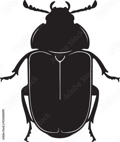 Mbrosia beetle in silhouette image.