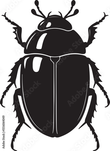  Water beetle insect in silhouette image white background.