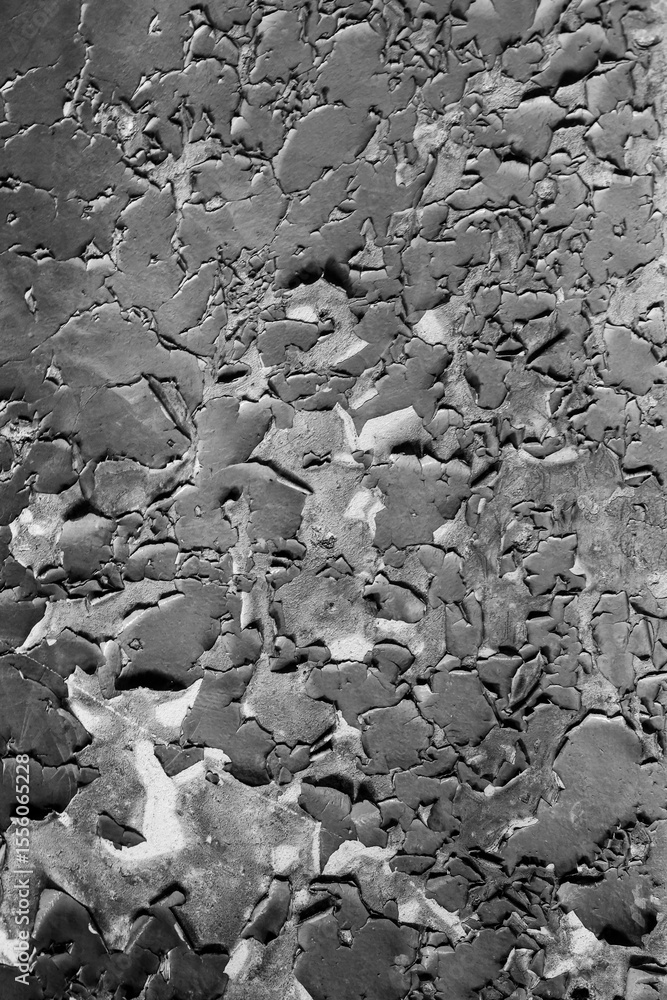 Obraz premium Detail of an old wood with cracked paint