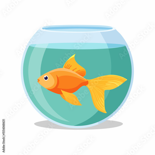 goldfish in aquarium