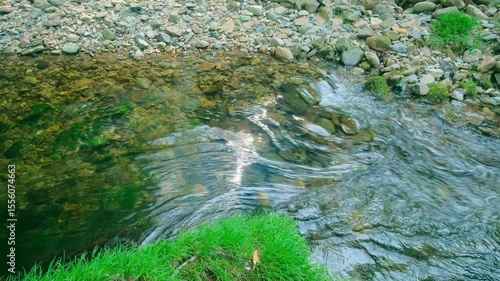 きれいな川の流れ,beautiful river flow