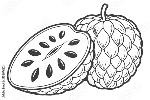 High Quality Vector Illustration of a Chirimoya Fruit with Detailed Texture