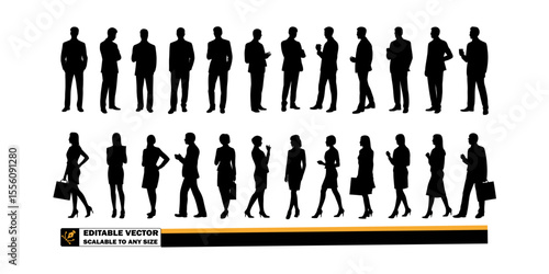 Silhouettes of business people in suits standing in rows against a plain background in a vector image