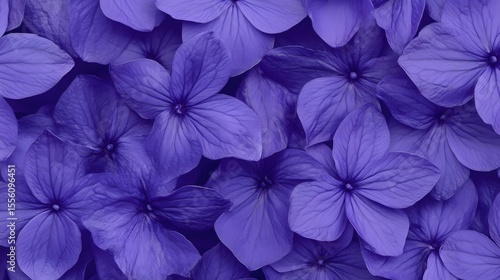 Vibrant Purple Hydrangea Blooms Close Up Floral Background