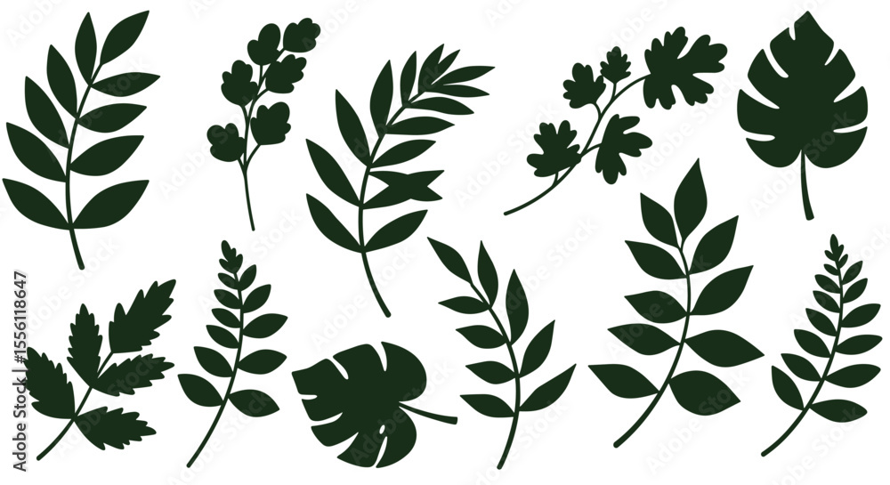 Fototapeta premium Elegant botanical leaf collection vector illustration for nature designs