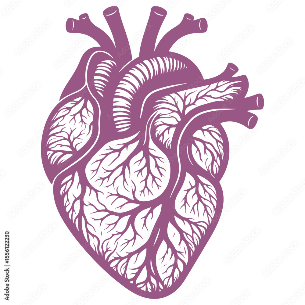 Obraz premium Human Heart Line Art Vector
