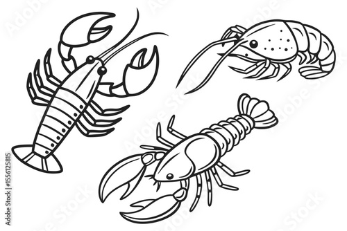 lobster vector illustration