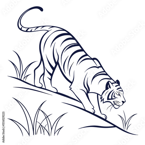 Striped tiger descending hill silhouette