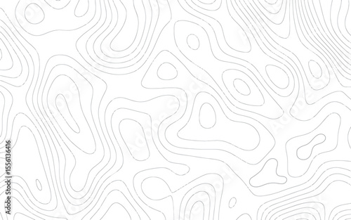 Abstract topographic line map. Cartography line map. Geographic line map. Topographic wavy pattern. Line wave. Carve pattern on a white background.