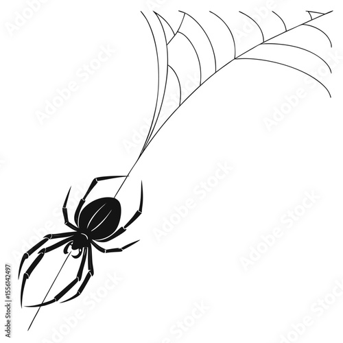 Spider on web silhouette illustration