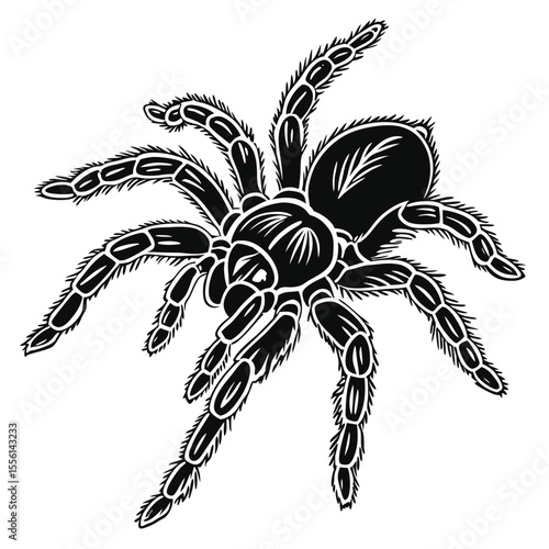 Tarantula spider silhouette illustration