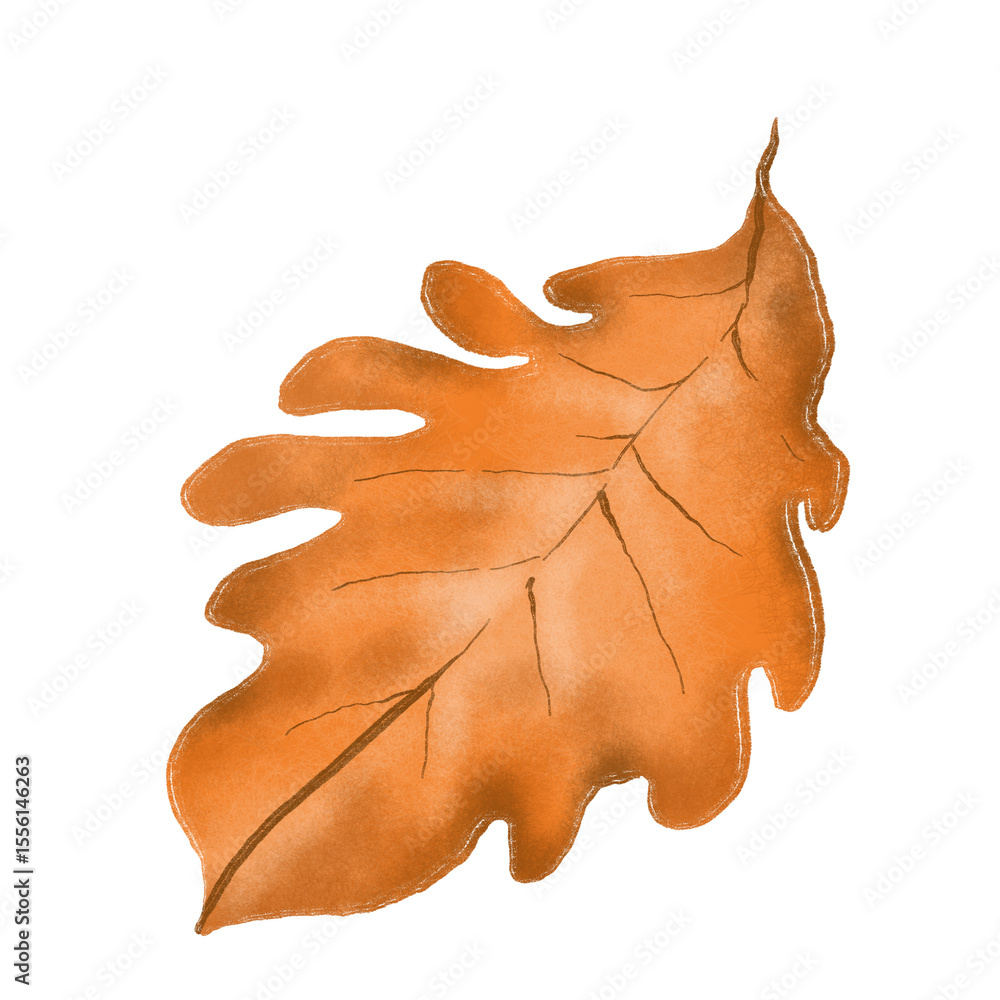 Naklejka premium oak leaf on a white background