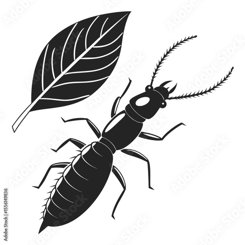 Earwig and leaf