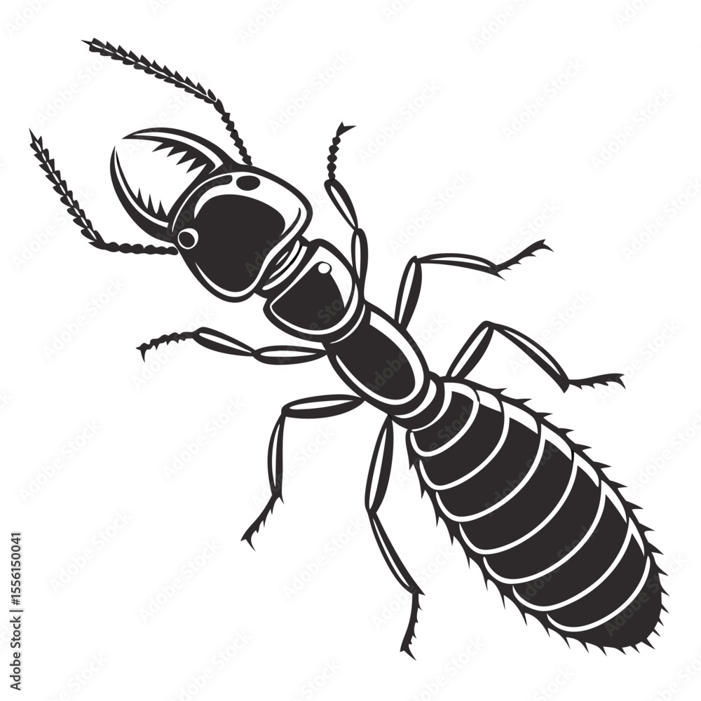 Termite illustration Termite illustration