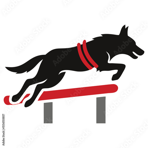 Powerful black dog with red harness leaps elegantly over the red hurdle beautifully