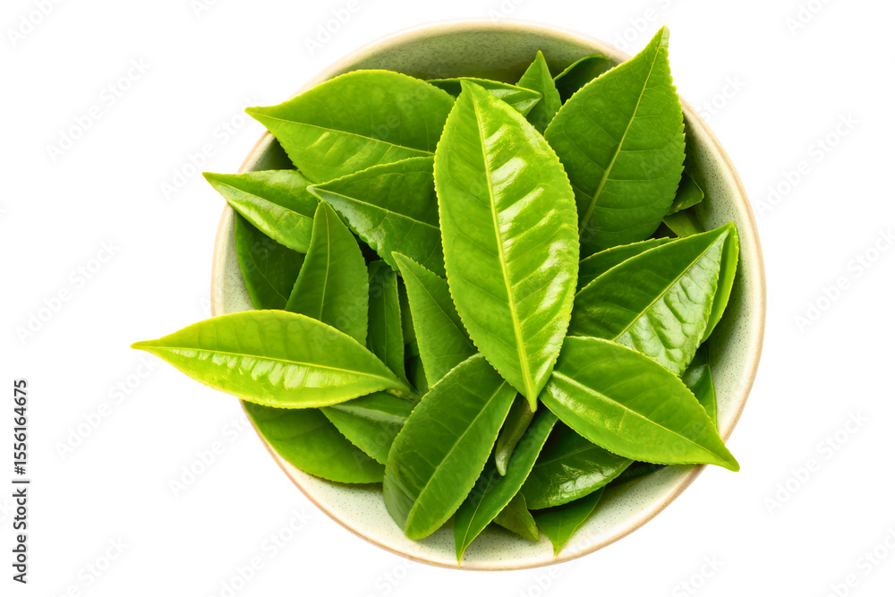 Fototapeta premium Bowl filled with fresh vibrant green tea leaves isolated with transparent background