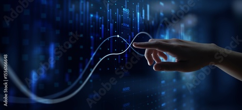 Interactive Financial Data Visualization and Predictive Analysis in Digital Platforms.