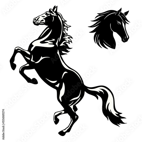 Black Horse vector.eps