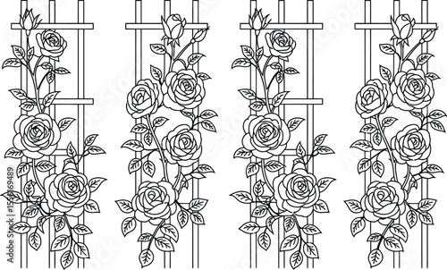 Rose vines climbing trellis graphic elements line art illustration set