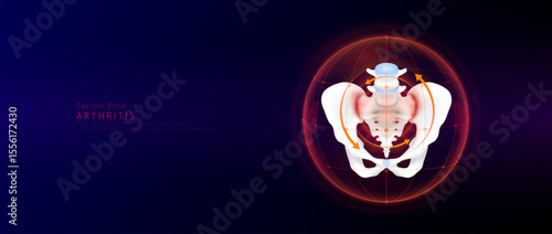 Red rotating arrow around sacrum joint cartilage inflammation in dome on blue background. Arthritis and osteoarthritis. Human pelvis skeleton anatomy. Medical science concept. Vector EPS10.