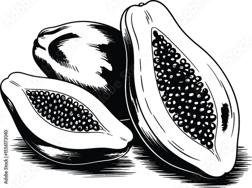 Black and white papaya illustration fresh fruit healthy eating design element