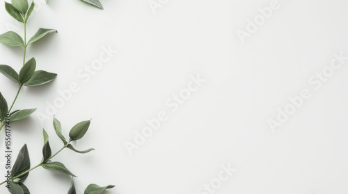 Wallpaper Mural Sunlit Simplicity Torontodigital.ca