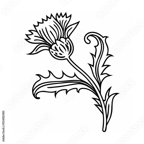 Elegant black and white vector illustration of a thistle flower isolated on white background
