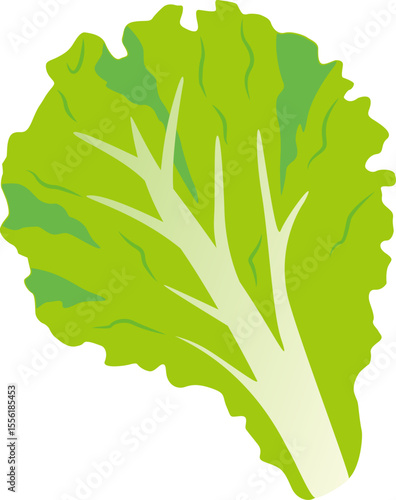 아채 채소 상추 쌈